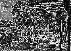 Skamielina