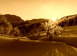 Sepia