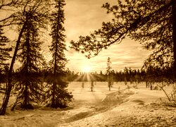 Sepia