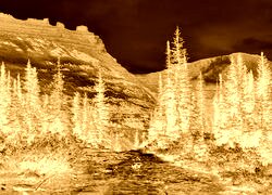 Sepia + Negatyw