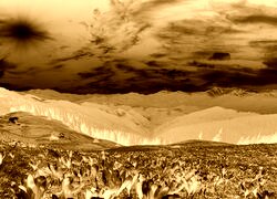 Sepia + Negatyw