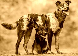 Sepia