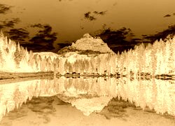 Sepia + Negatyw