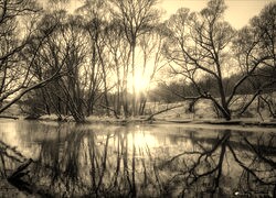 Szary + Sepia
