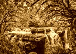Sepia