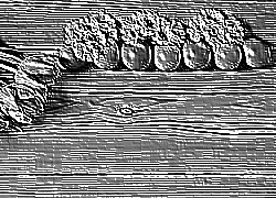Skamielina