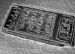 Skamielina