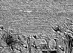 Skamielina