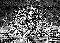 Skamielina