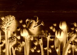 Sepia + Negatyw