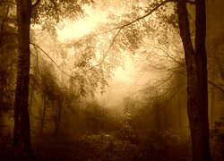 Sepia