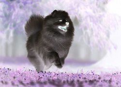 Negatyw
