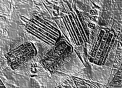 Skamielina