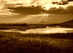 Sepia