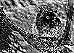 Skamielina