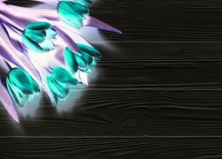 Negatyw