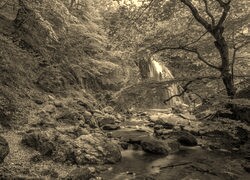 Szary + Sepia