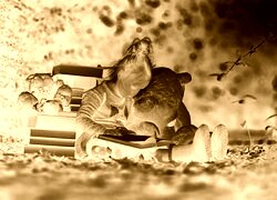 Sepia + Negatyw