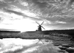 Szary + Sepia