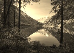 Szary + Sepia