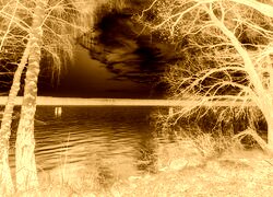 Sepia + Negatyw