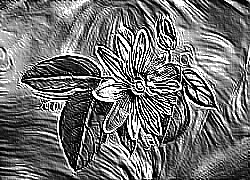Skamielina
