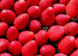 Oryginalny obrazek