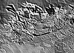 Skamielina