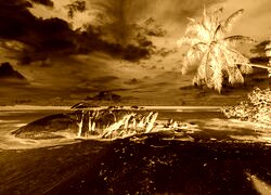 Sepia + Negatyw
