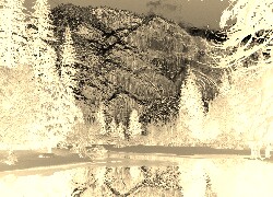 Sepia + Negatyw