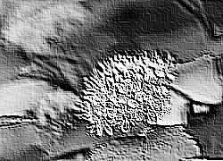 Skamielina