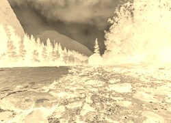 Sepia + Negatyw