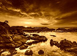 Sepia
