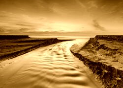 Sepia