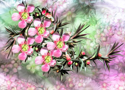 Oryginalny obrazek