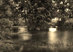 Szary + Sepia