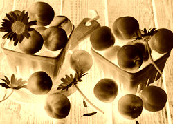 Sepia + Negatyw