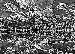 Skamielina