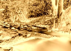 Sepia + Negatyw
