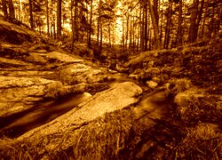 Sepia