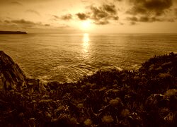 Sepia