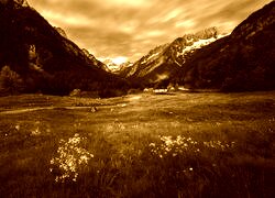 Sepia