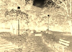 Sepia + Negatyw