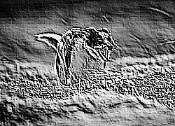 Skamielina