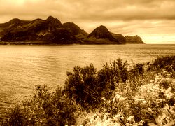 Sepia