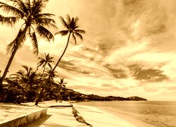 Sepia