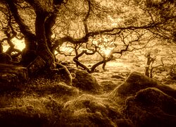 Sepia