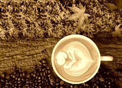 Sepia