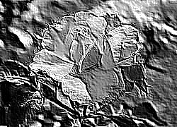 Skamielina