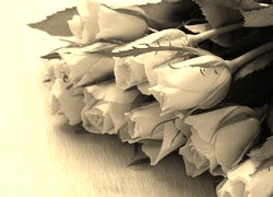 Szary + Sepia